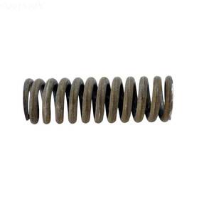 274421z Pentair Waste Seal Spring