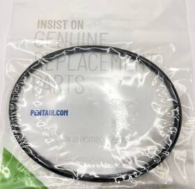 350013z Pentair Pump Strainer Oring Whisperflo/intelliflo/challenger/pinnacle