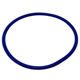 Intellipro3 Pentair 356189z Lid O-ring Intelliflo3 And Pool Pumps Replacement Part
