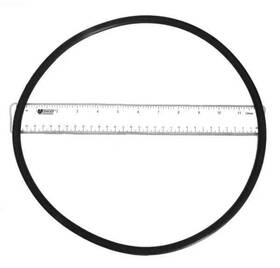 356780z Pentair O-ring Seal Plate