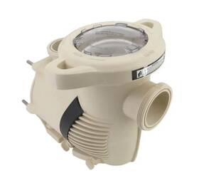 400000z Pentair Wet End Assy