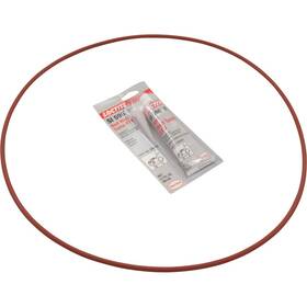 474201 Pentair O-ring Kit Pent Mastertemp/max-e-therm After 1-12-09