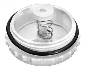 506162 Pentair Equalizer Valve Assy