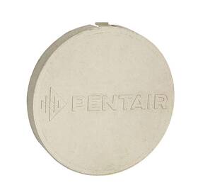 510161 Pentair Disk Logo