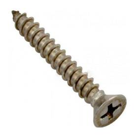 552539 Pentair Stainless Steel Screw For Square Drain