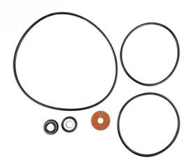 Pentair 682470386695 Rpksp Seal Repair Kit