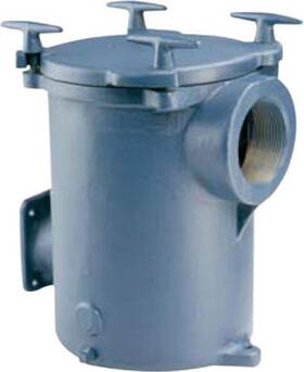 Pentair 682470390975 Pkg98 8 Inch Cast Iron Hair And Lint Strainers Trap Assembly
