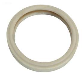79108500z Pentair Lens Gasket 4 Inch