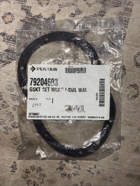 79204603 Pentair Gasket Set 2 Pk