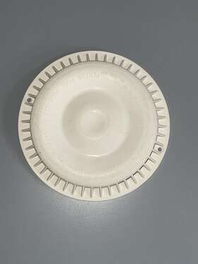 86105900 Pentair Swimming Pool Main Drain Suction Cover Plate Av