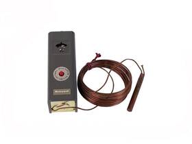 E2103900 Pentair Manual Reset High Limit Switch