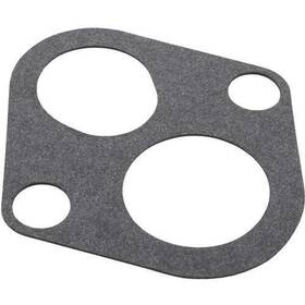 J20-12 Pentair Gasket