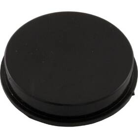 R172225x Pentair 1.5 Inch Plug - Black