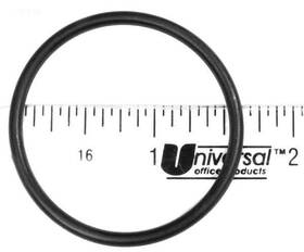 R172319 Pentair O-ring Bottom