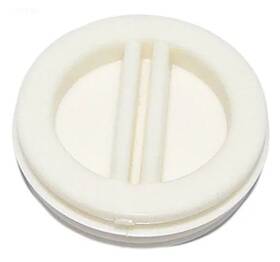 R22010z Pentair Threaded Plug 1-1/2