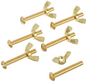 Pentair R221166 155 Brass Bolt And Wing Nut