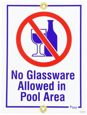 R232600 Pentair Rainbow 9 Inch X 12 No Glassware Allowed In Pool Area Sign