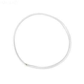 R36025 Pentair Gasket Hayward Style Basket