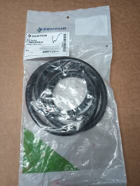 071439 Pentair Water Pool And Spa Inc 4000 Series Tank O-ring Oem -