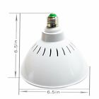 Pool-12v-33w Wyzm Color Changing Led Pool Light Bulb Replacement 689674060352