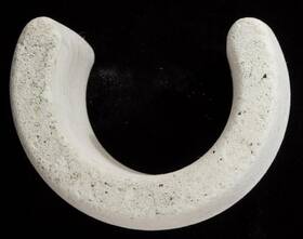 896584000-280 Poolvergnuegen The Poolcleaner 2x 4x Ps Universal Hose Float Pool Cleaner Part