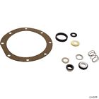 Pp1625 Pentair Pool Products Kit 022315375307