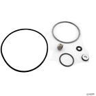 Pp4200 Pentair Seal Kit Duraglas Ii 735873093728