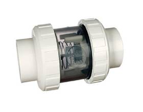 202-cvc-050cr Praher Plastics 2 Inch Socket Double Union Spring Check Valve