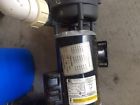 T55cxbnc-999 Pump 6500-307 Spa Motor