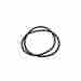R0557900 Zodiac Jandy Tank O-ring