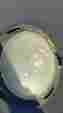 R0558900 A05653 Jandy Stealth Php And Phpu Pot Lid W Collar