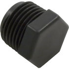 R172134 Pentair Plug For Rainbow 788379004903
