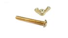 R221156 Pentair Pool Products Brass