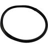 R36046 Pentair Baker Hydro Ring Die Gasket For 788379010065