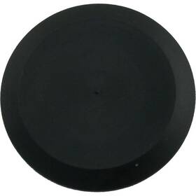 005264f Raypak Rear Header Drain Plug