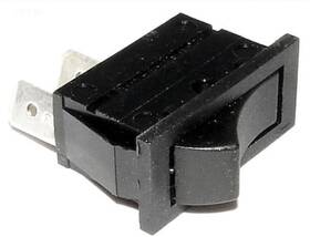 006872f Raypak Rocker Switch Spst