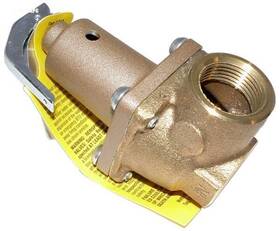 007224f Raypak Prv - 125 Psi