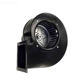 008793f Raypak Blower Combustion Air