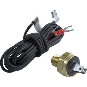 600893b Raypak Auto-reset High Limit Switch