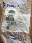 473034 Rotolock Side Pentair Gasket