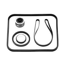 Southeastern Accessory 787639367970 Salt Pool Pump Gasket Seal O-ring Repair Kit For Hayward R