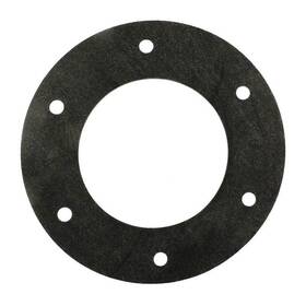 2306002013 Speck Pumps Face Ring Gasket