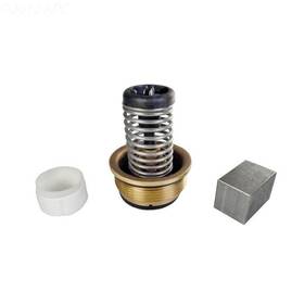 460923 Sta-rite Bypass Valve Kit