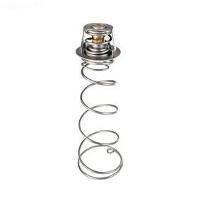 460924 Sta-rite Thermal Regulator Kit Asme
