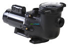 Sp3220ee Tristar 208 Efficient 230v Pool 2hp Energy Hayward Pump
