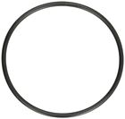 U9-375 Pentair Distribution O-ring For 788379850982