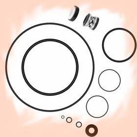 Wahoo-garden 353805502317 O-ring Rebuild Repair Kit Fit Jandy Zodiac Flo Pro Fhpf Fhpm A