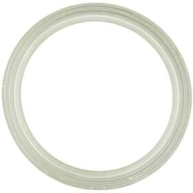 Ww7111920b Waterway Plastics Gasket Sand Filter