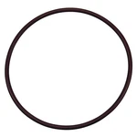 Pentair R172240 Lid To Housing O-ring Replacement Rainbow High Capacity.... Fixed Price $16.50.