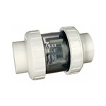 Praher 202-CVC-TRI 2" Socket Double Union Spring Check Valve. Fixed Price $53.24.